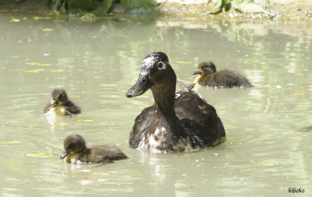 kleine Familie