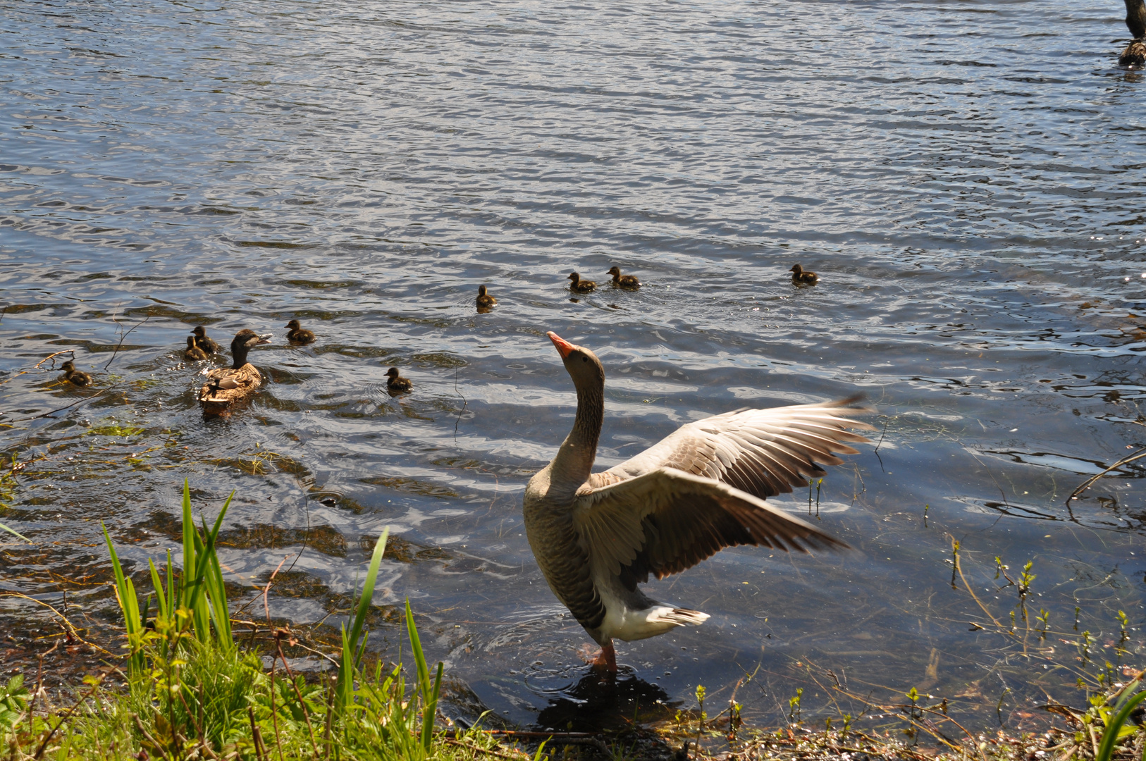 Kleine Familie 