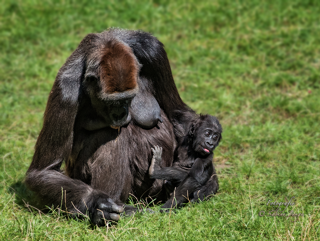 Kleine Familienidylle