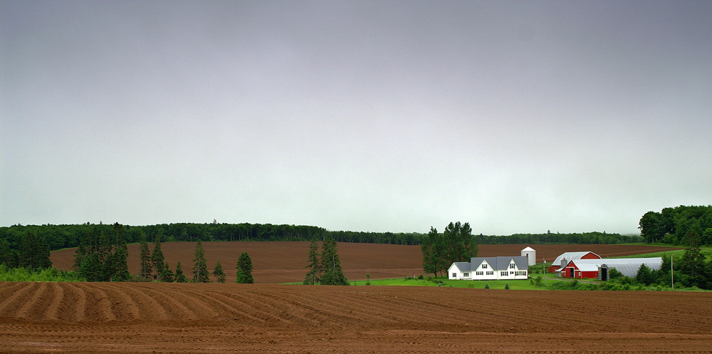 Kleine Farm auf Prince Edward Island 01