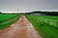 Kleine Farm auf Prince Edward Island 02