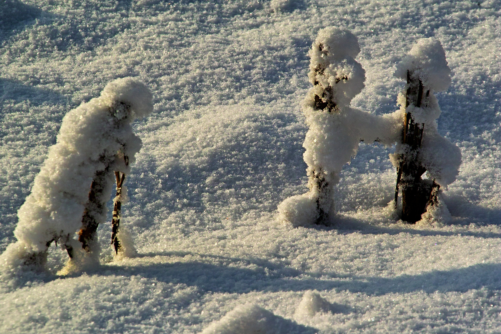 Kleine Figuren im Schnee-002