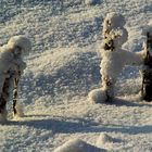 Kleine Figuren im Schnee-002