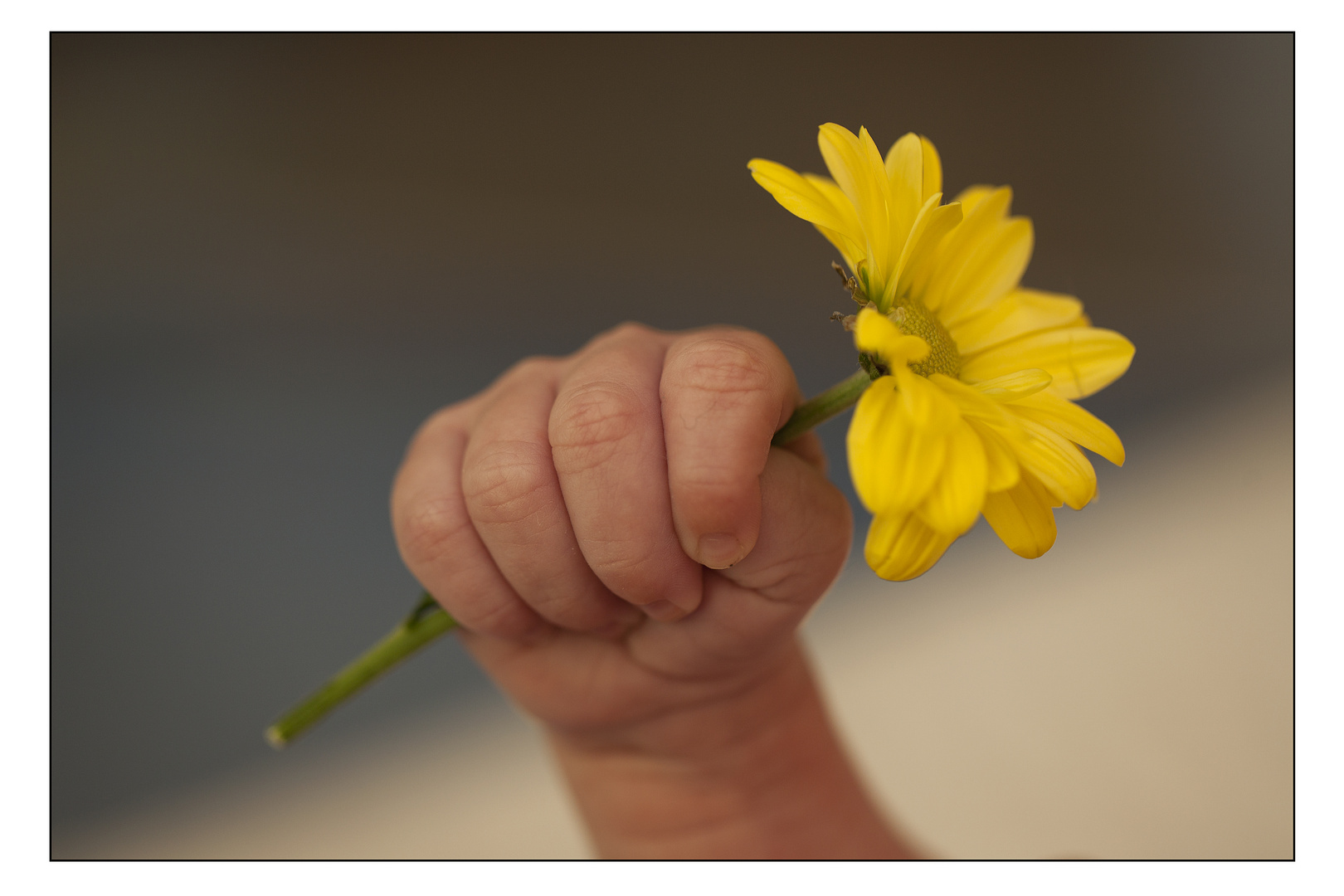 kleine finger mit ´Blumenstrauß´