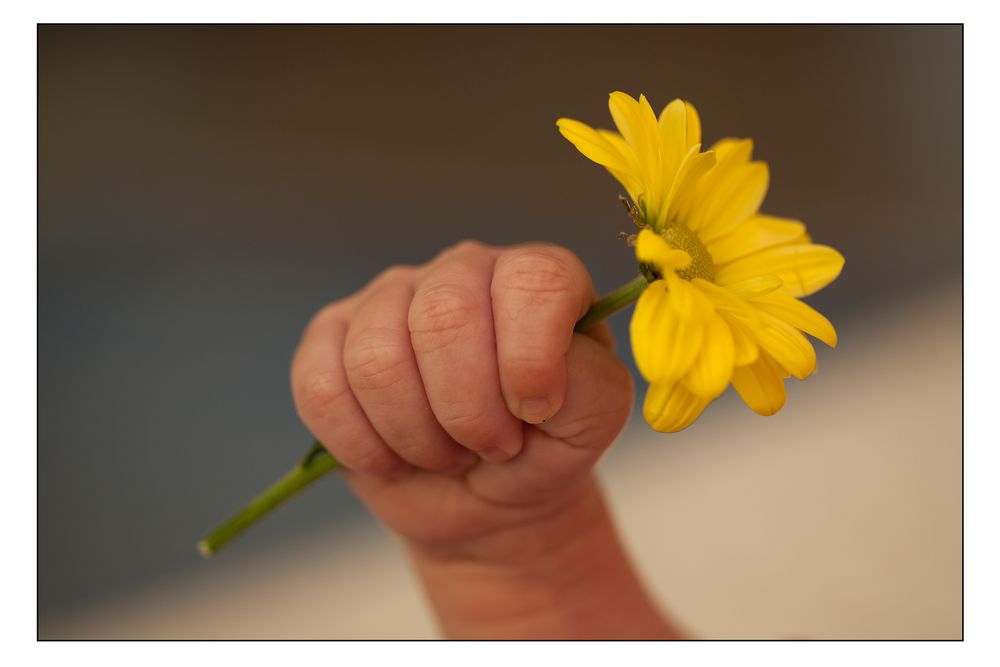 kleine finger mit ´Blumenstrauß´