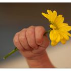 kleine finger mit ´Blumenstrauß´