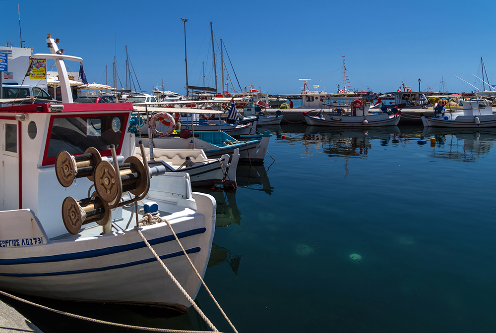 Kleine Fische auf hellem Grund