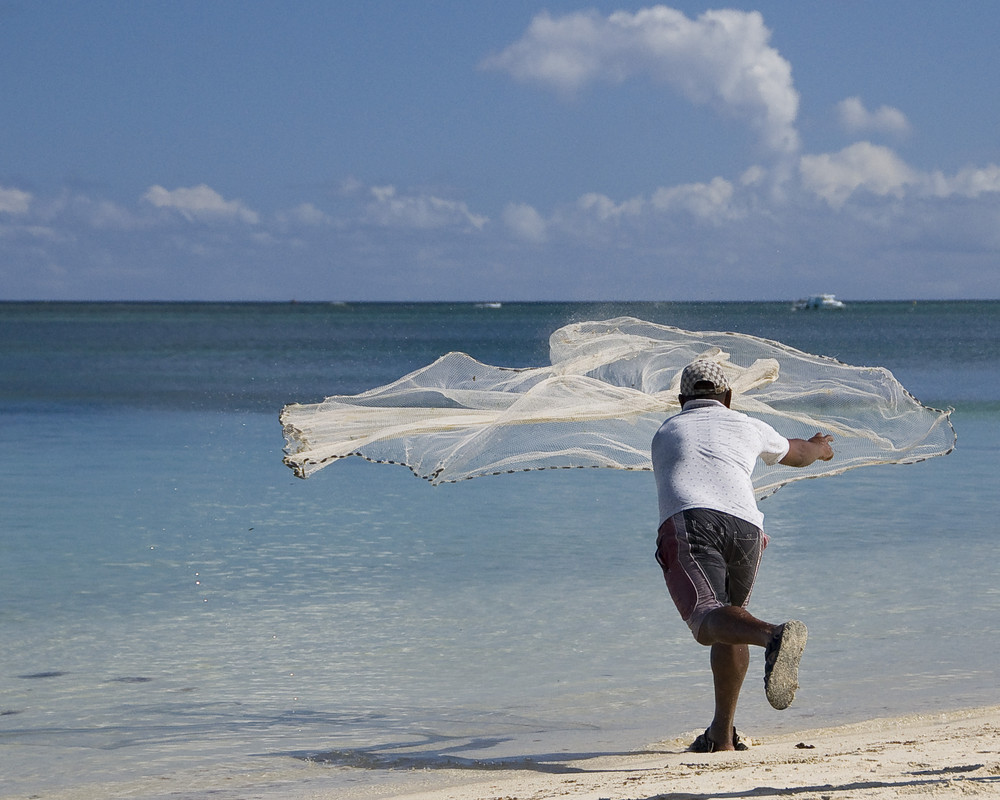 Kleine Fische für die Grossen Fische - auf Mauritius