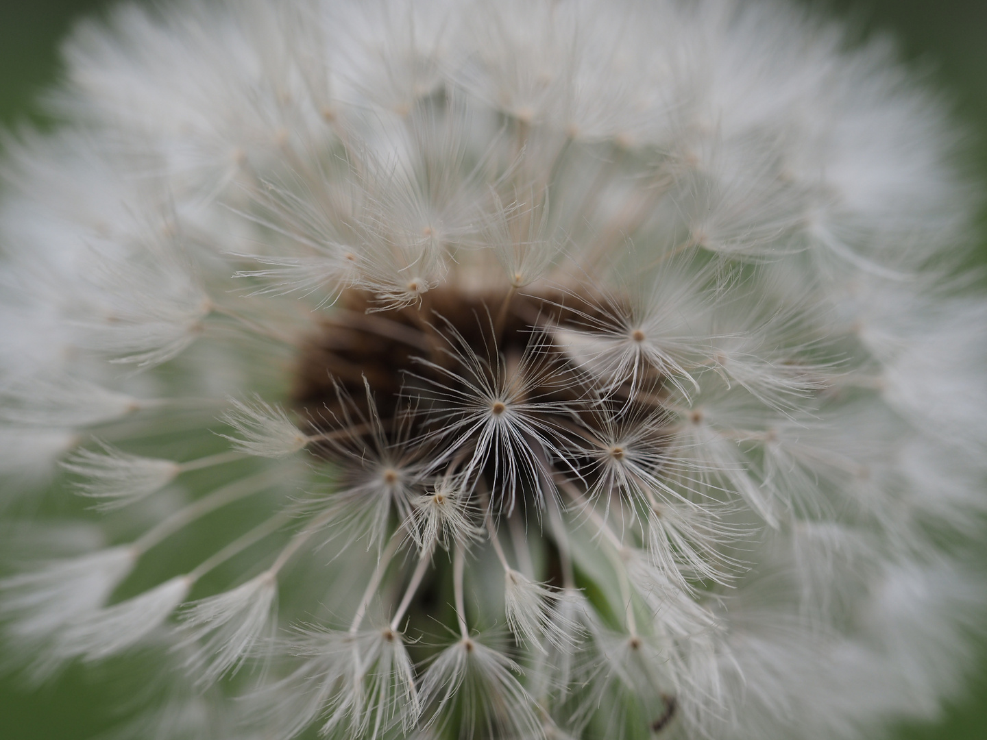 Kleine Flieger