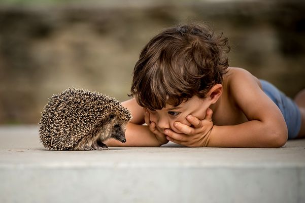 ...kleine Freunde...