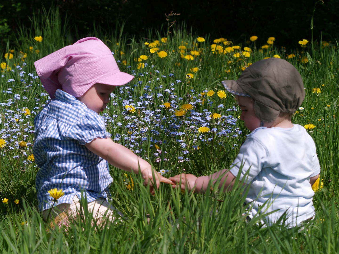 Kleine Frühlingsgefühle