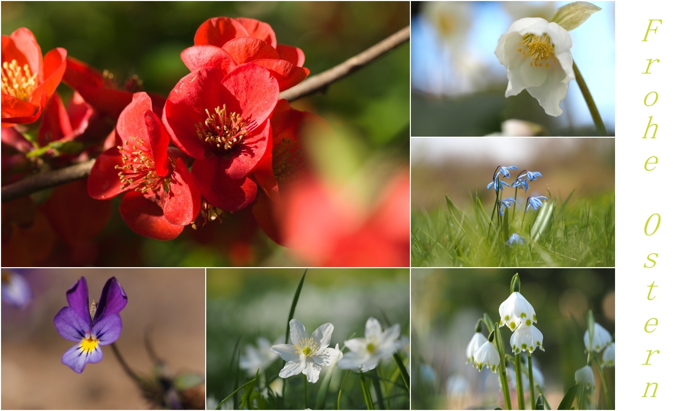 Kleine Frühlingsimpressionen zu Ostern