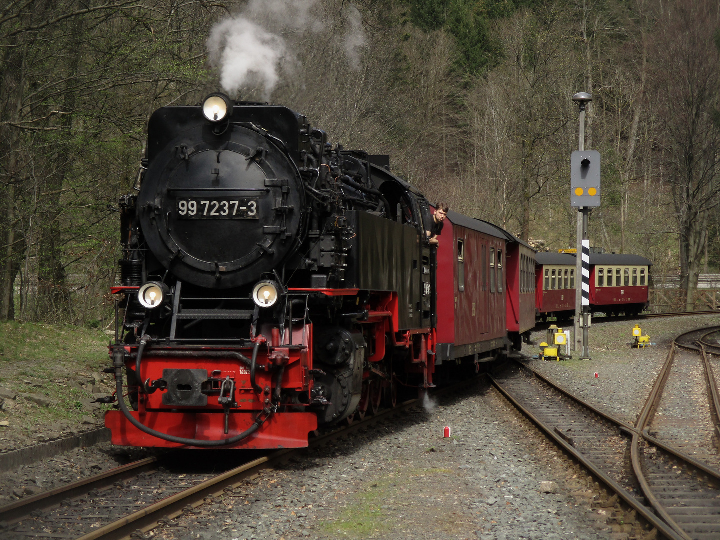 Kleine Frühlingsrunde mit der HSB nach Eisfelder Talmühle 2.