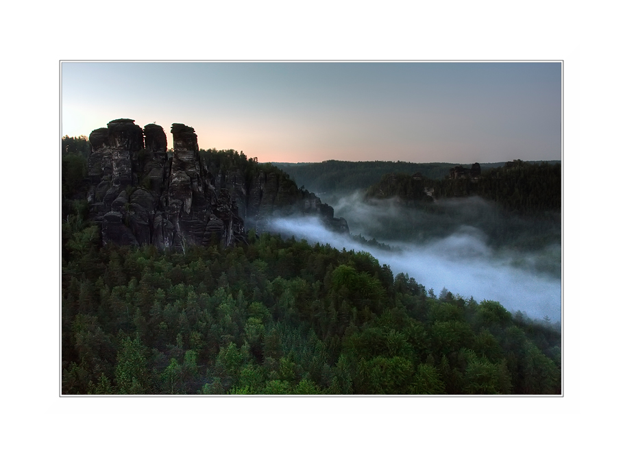 kleine gans im abendnebel