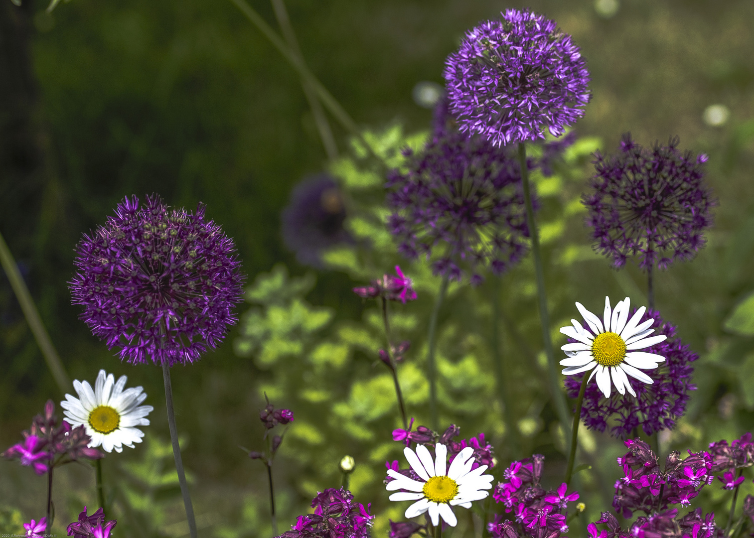 Kleine Garten-Welt