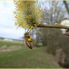 kleine Genießerin