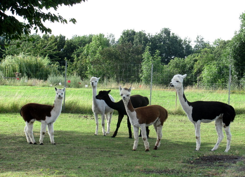 kleine gesellige Runde