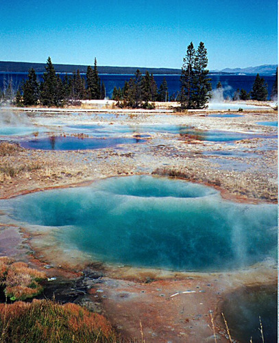 Kleine Geysire im Yellowstone Nationalpark !