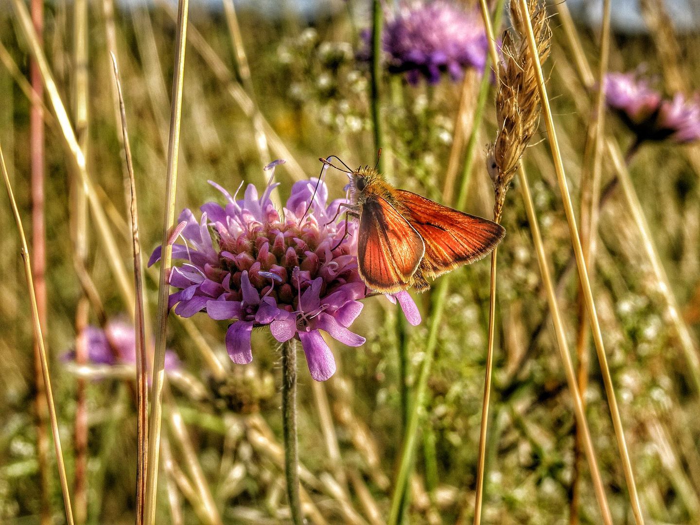 kleine Glücksmoment… 