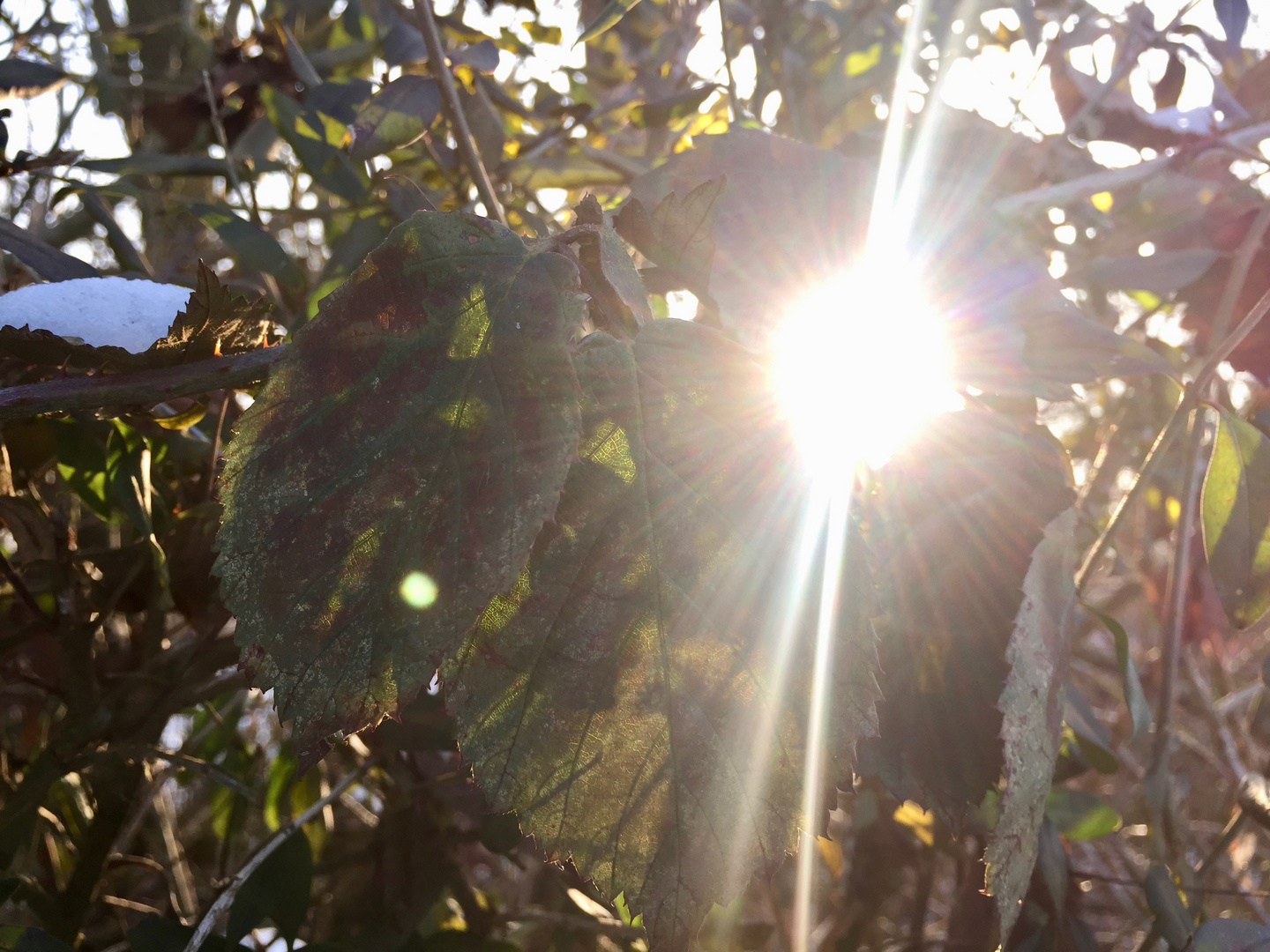 Kleine-Große Sonnenstrahlen