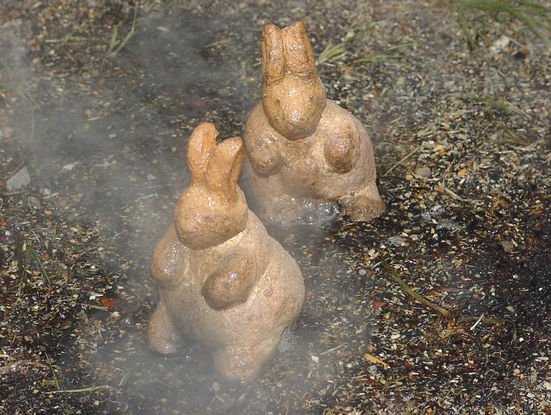 Kleine Haserl mit kurzen Naserln im Sprühregen