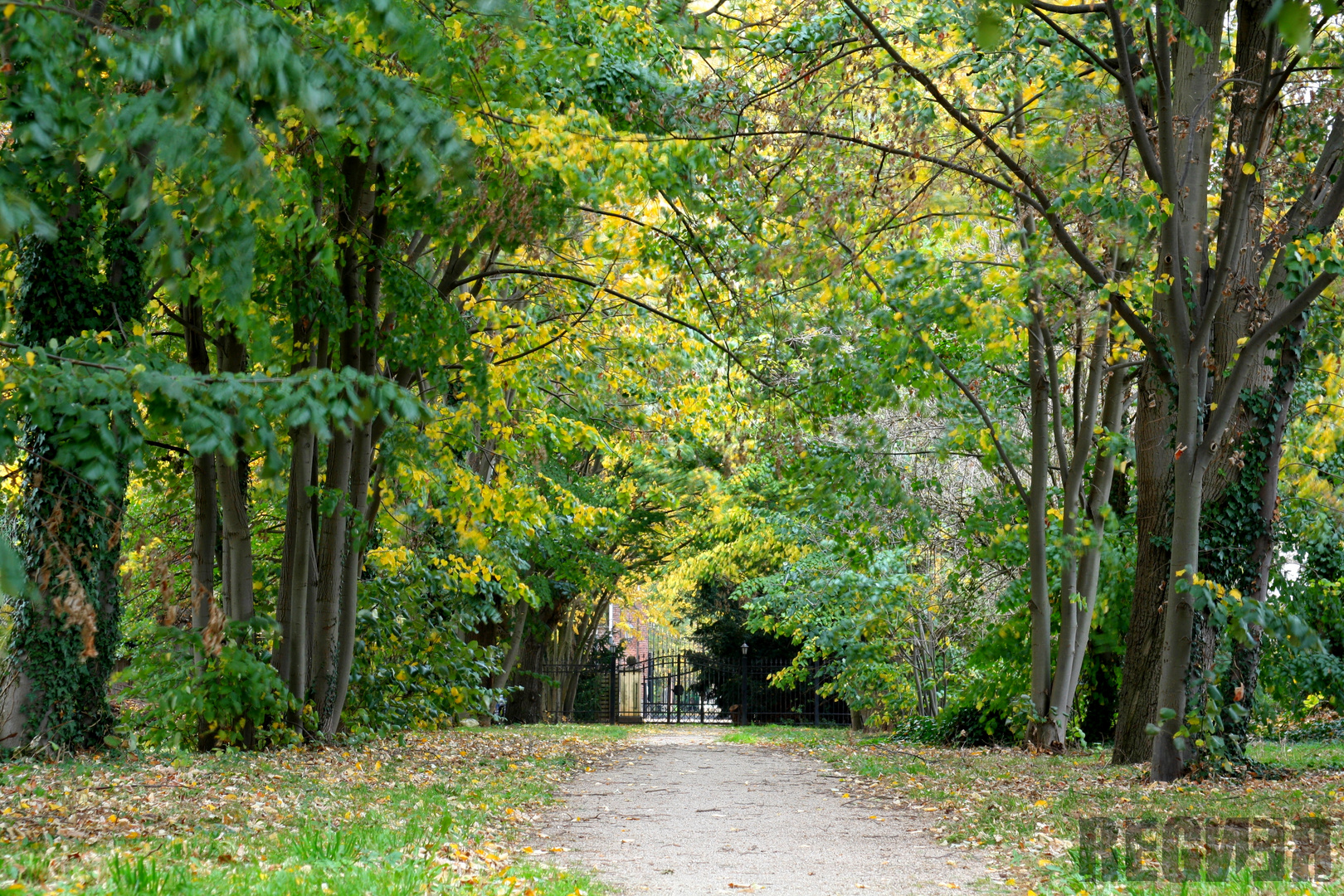 kleine Herbst Impression