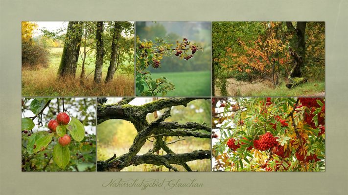kleine Herbstfreuden ...
