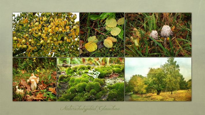 kleine Herbstfreuden ....