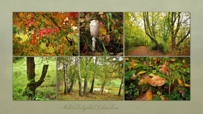 kleine Herbstfreuden ...