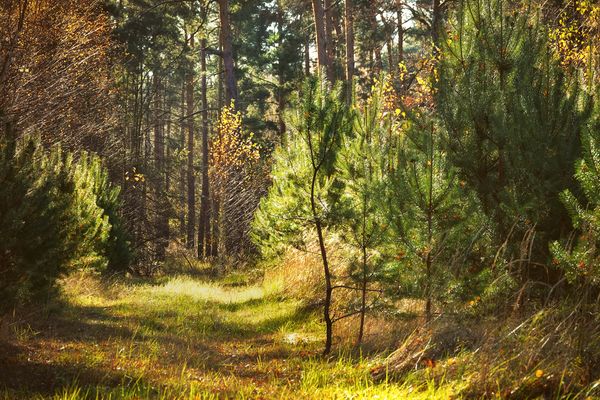kleine Herbstfreuden ....