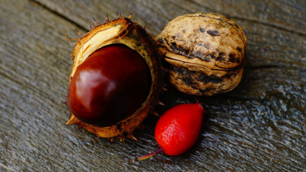 Kleine Herbstfrüchte