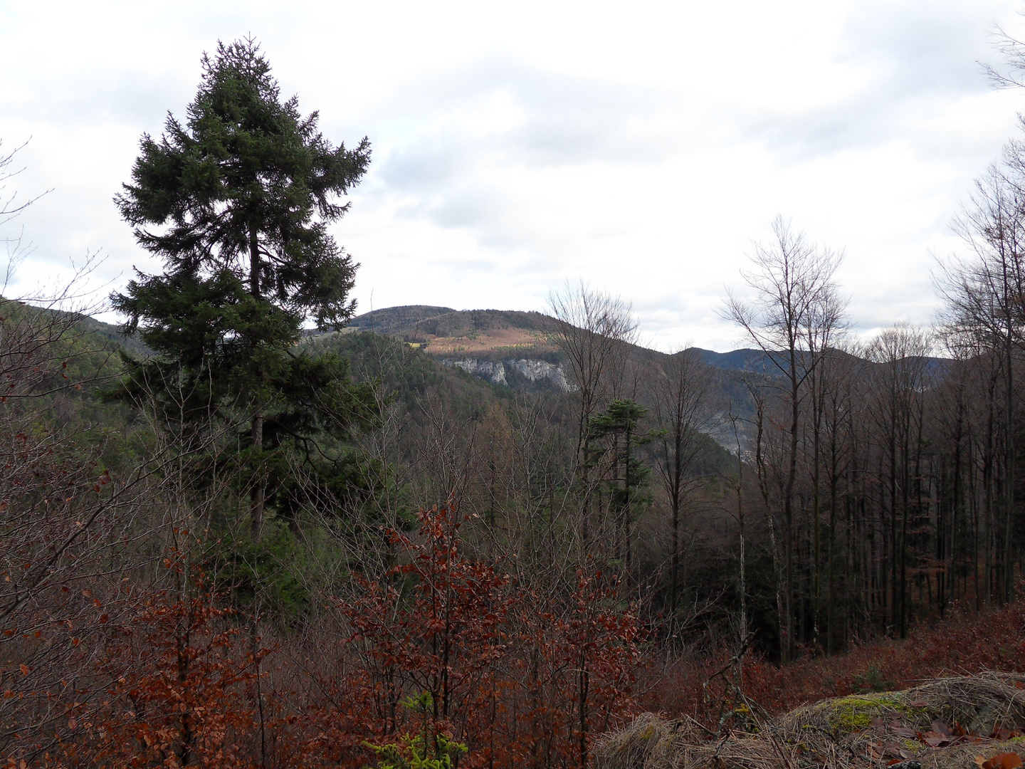 kleine Herbstwanderung