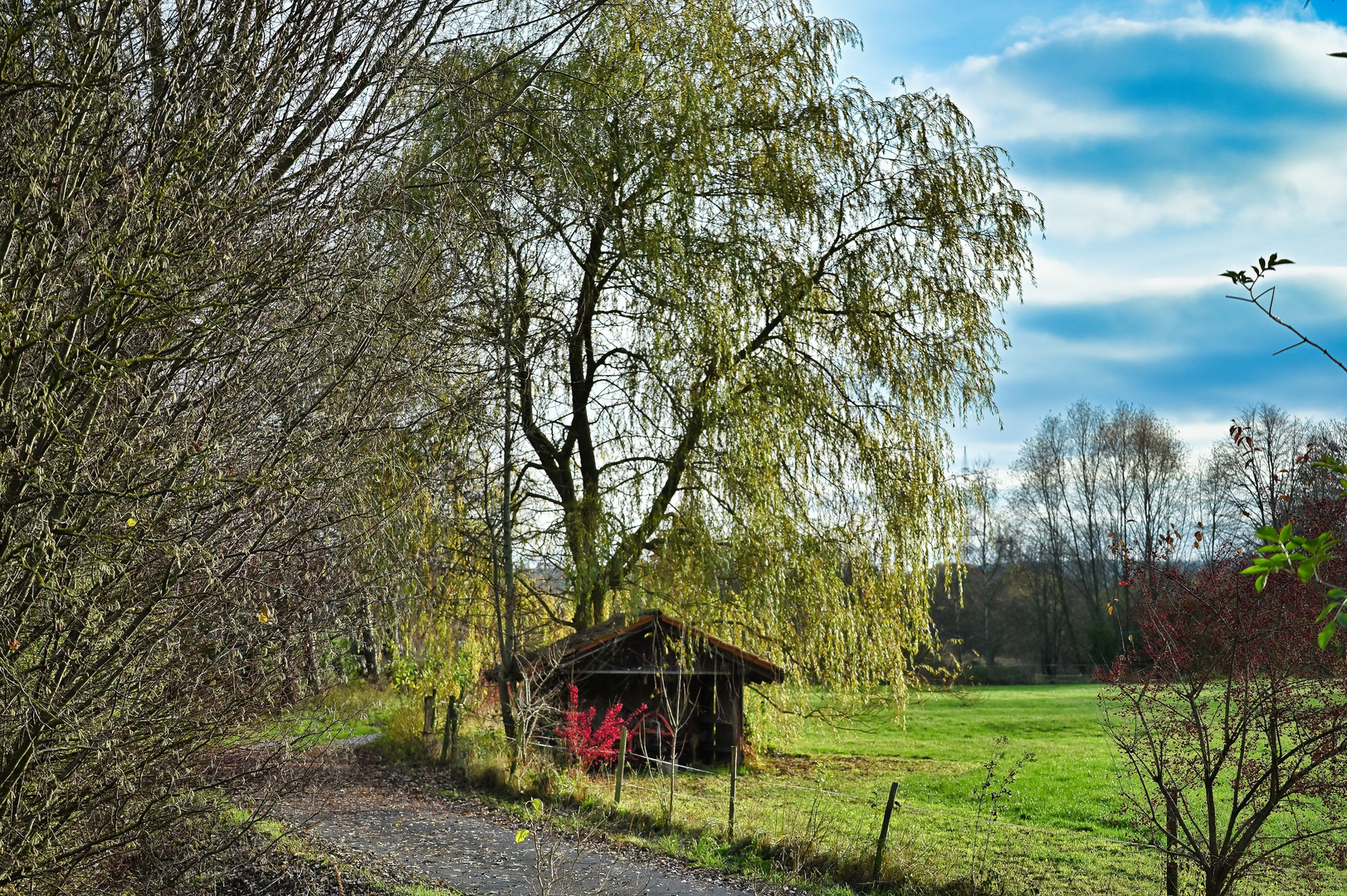 kleine Hütte ... am Rande von unserem kleinen Dorf