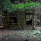 kleine Hütte, versteckt im Wald