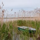 Kleine Idylle ...