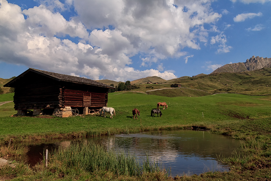 Kleine Idylle auf der Seiser Alm