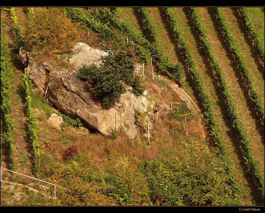 Kleine Idylle im Weinberg