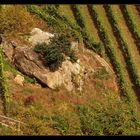 Kleine Idylle im Weinberg