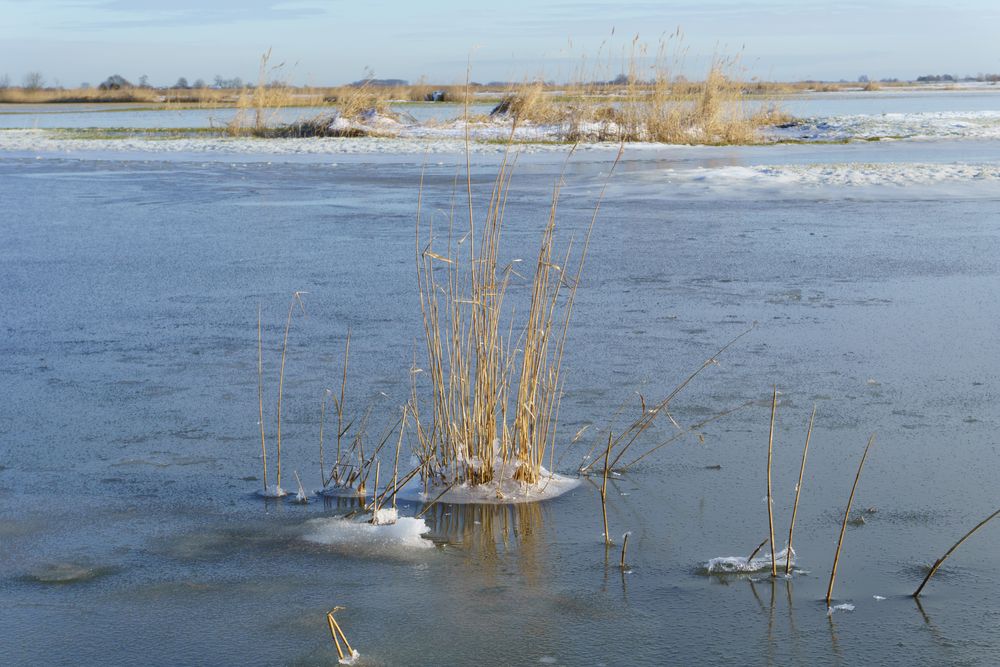 Kleine Insel