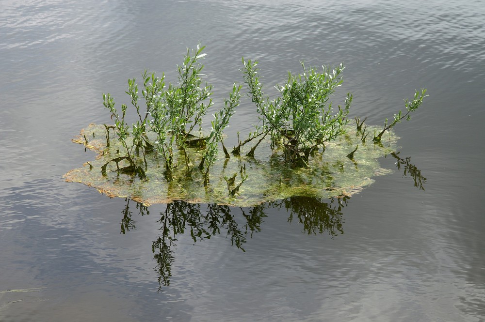 Kleine Insel