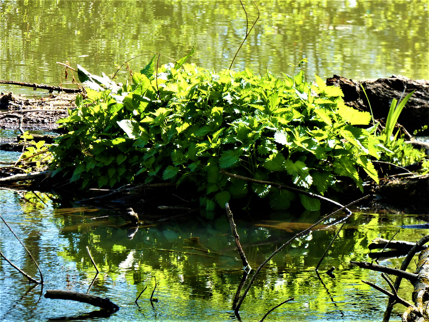 Kleine Insel