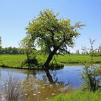 Kleine Insel