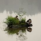 Kleine Insel im Blaibacher See