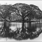 Kleine Insel im Historischen Park von Sukhothai