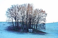 Kleine Insel im letzten Licht