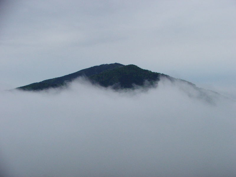 Kleine Insel im Nebelmeer