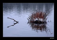 kleine Insel im winterlichen See.....