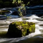 Kleine Insel in der Areuse im Sonnenschein