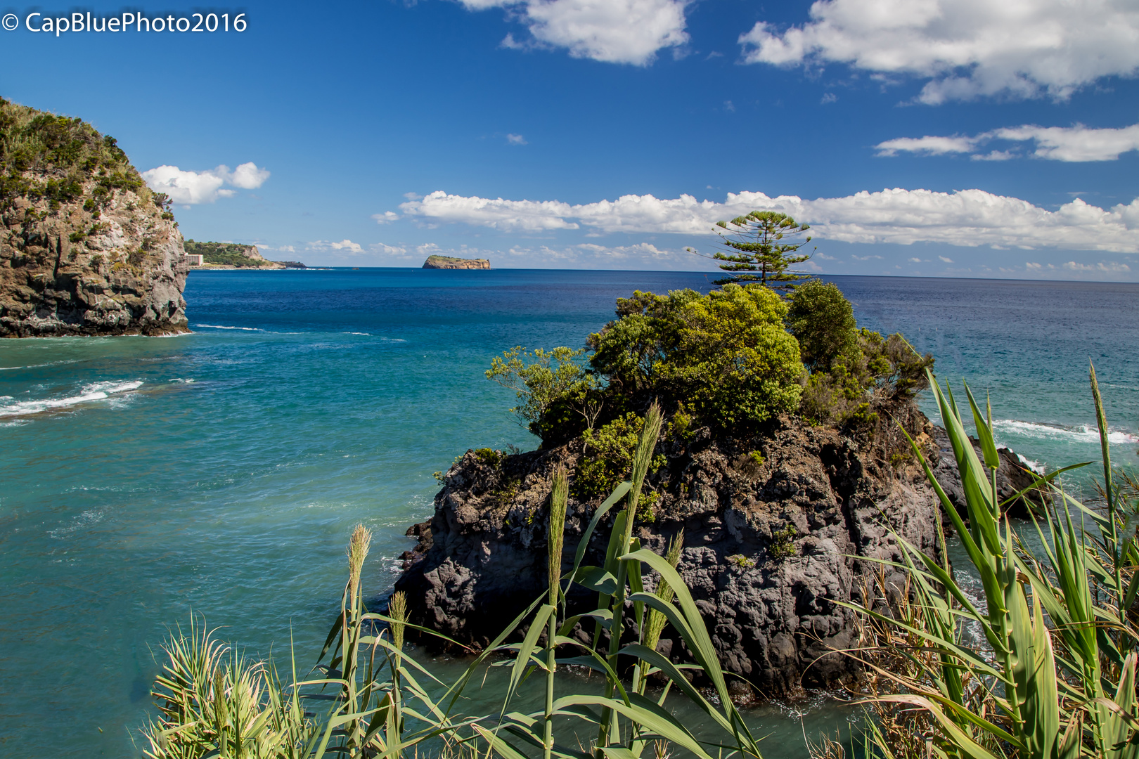 Kleine Insel in der Caloura Bucht hinter dem Schilf