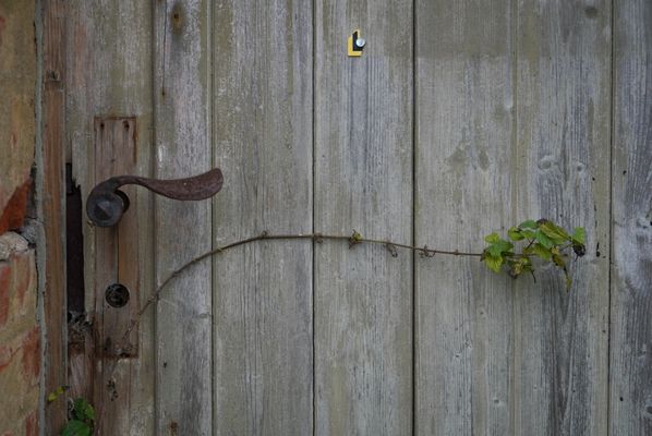 Kleine Kämpfernatur